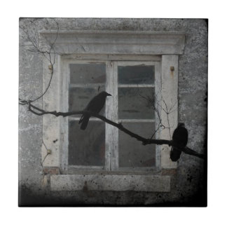 Carreau Vieux Grungy Window