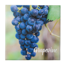 Vigne de raisin pour vin et vigneron cadeau