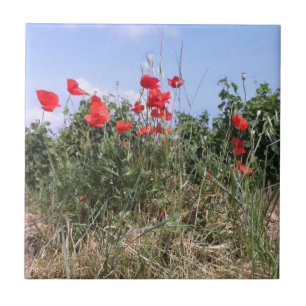 Carreau Vignes et papillons rouges
