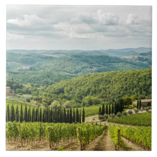 Carreau Vineyards landscapes in the morning in Chianti.