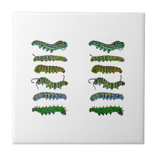 Carreau Vintage Caterpillar Illustration Mug 