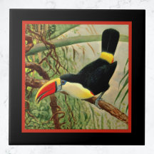 Vintage de la jungle