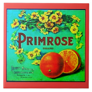 Carreau Vintage entreprise de fruits à oranges étiquette