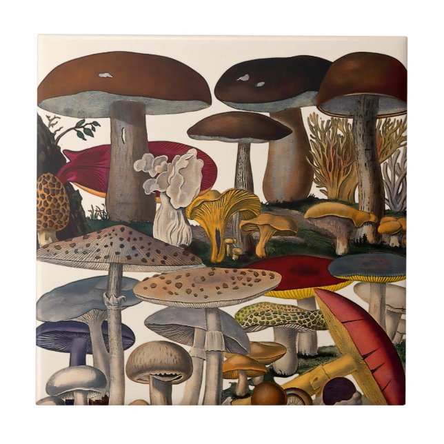 Carreau Vintage mushrooms illustration (Devant)