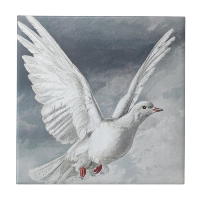 Carreau Vintage White Dove (Devant)