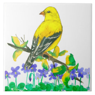 Carreau Violets violets American Goldfinch Bird Jaune