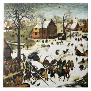 Carreau virginia5050