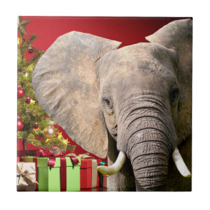 Carreau Vœux de Noël d'éléphant