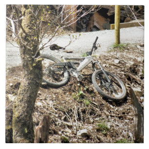 CARREAU VTT