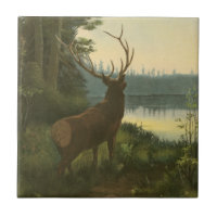Vue arrière du lac Elk Vue sur un lac