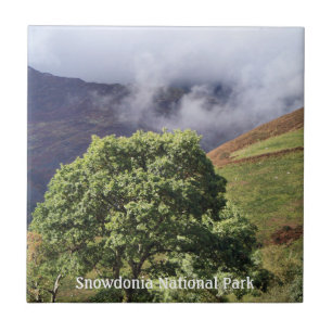 CARREAU VUES DES ALLES