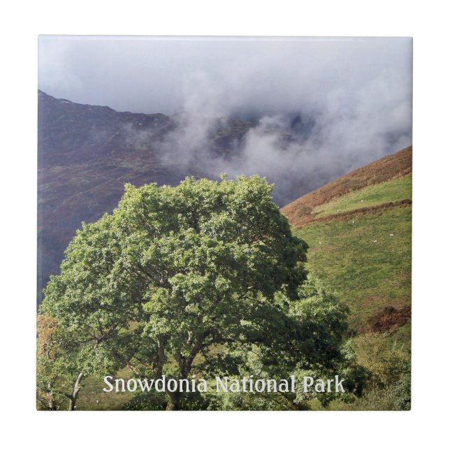 CARREAU VUES DES ALLES (Devant)