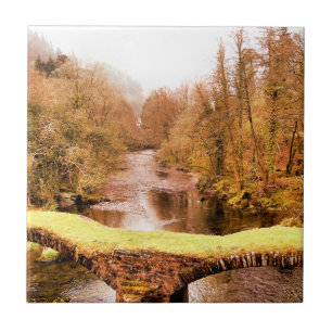 CARREAU VUES DES ALLES