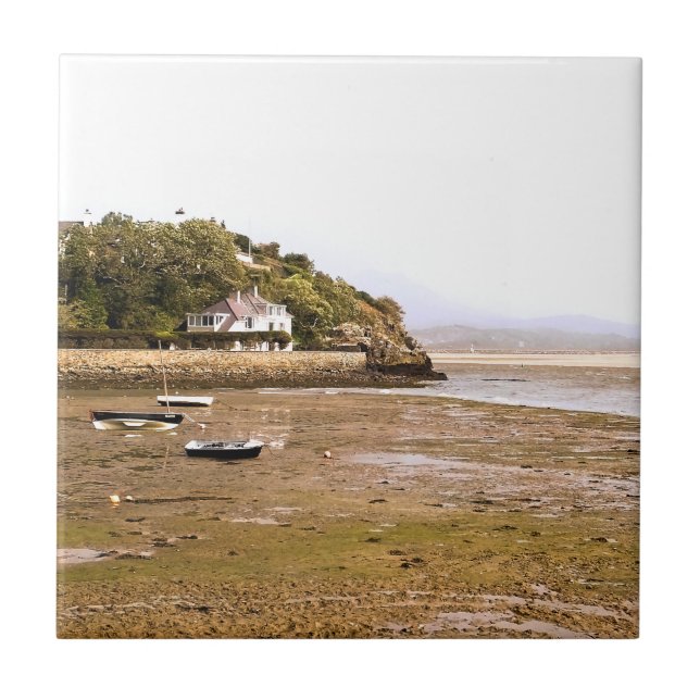 CARREAU VUES DES ALLES (Devant)