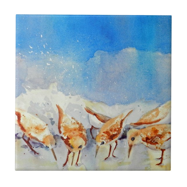 Carreau Watercolor Beach Birds (Devant)