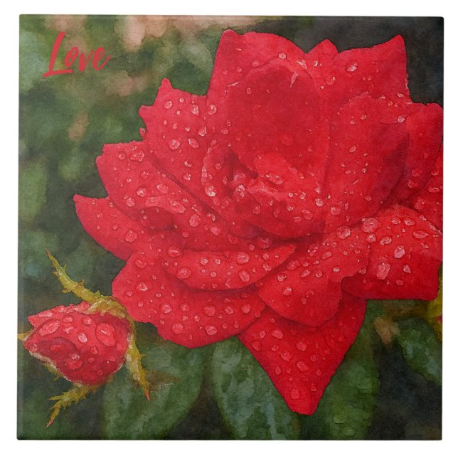 Carreau Watercolor Rose (Devant)