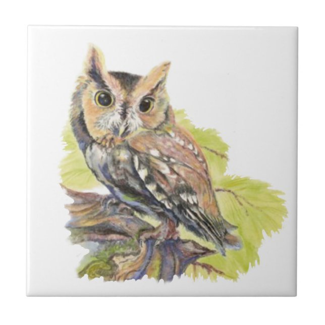 Carreau Watercolor Screech Owl Bird Wildlife (Devant)