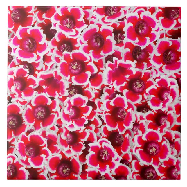 Carreau Weigela Florida Flowers (Devant)