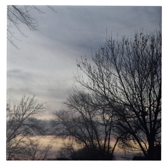 Carreau Whispers of Winter  (Devant)