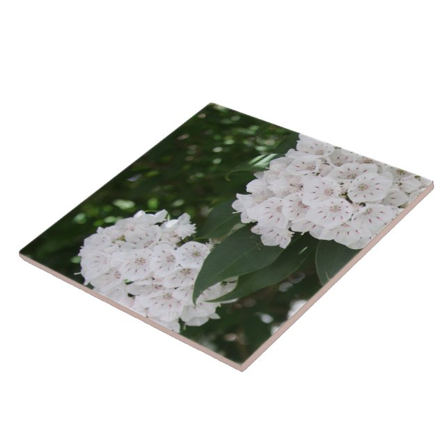 Carreau White Mountain Laurel Star Fleurs en forme (Côté)