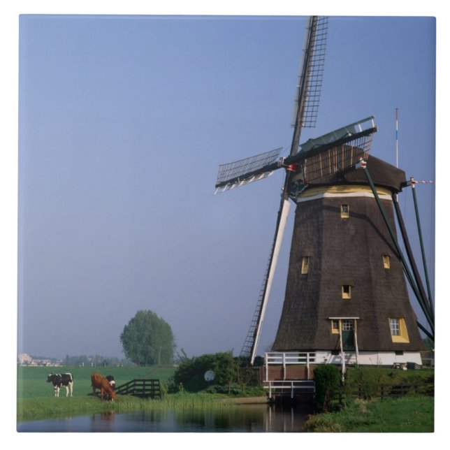 Carreau Windmills, Leidschendam, Pays-Bas (Devant)