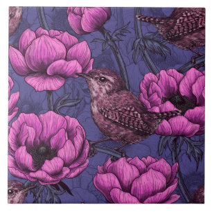 Carreau Wrens dans le jardin de l'anémone
