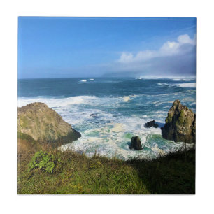 Carreau Yaquina Head Outstanding Natural Area, Oregon