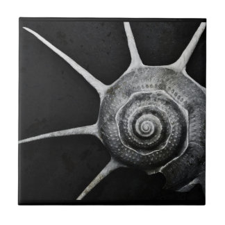 Carreau Yoka Shell couvrent de tuiles