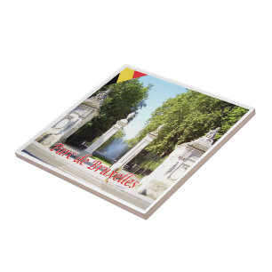 Carreau zBE018 BRUXELLES BRUXELLES PARK Belgique