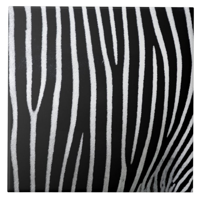 Carreau Zebra Skin (Devant)