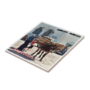 Carreau zGR119 MYKONOS Donkey, Grèce,