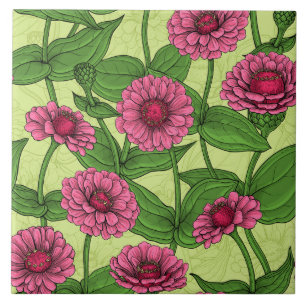 Carreau Zinnias rose sur vert clair