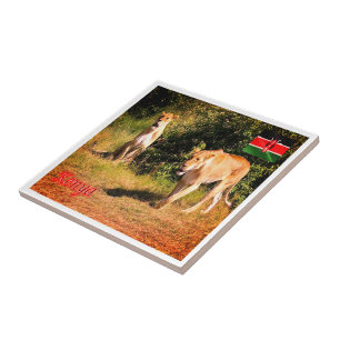 Carreau zKE005 KENYA, Lions, Afrique,