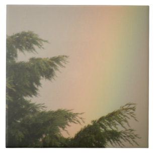 Carreaux arc-en-ciel et arbres