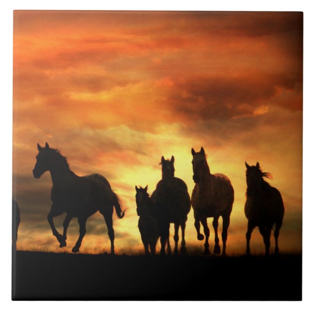 Carreaux d'art des Chevaux sauvages (Devant)