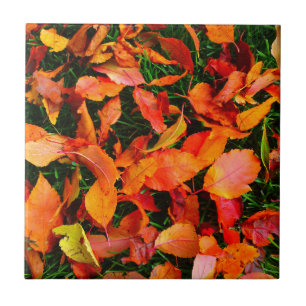 Carreaux d'automne