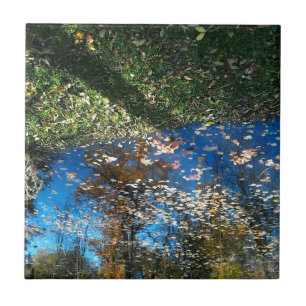 Carreaux d'automne Miroir Mirror