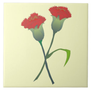 Carreaux de carnation rouge Carreaux décoratifs