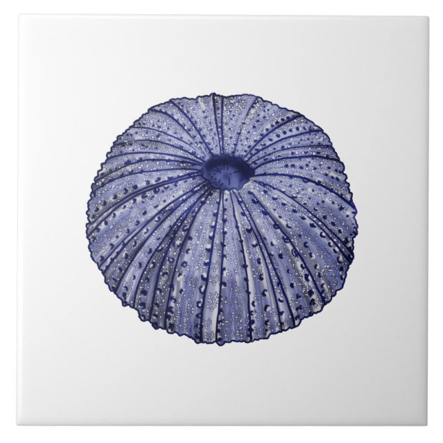 Carreaux de céramique bleu et blanc de l'oursin (Devant)