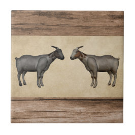 Carreaux de céramique de chèvre rustique et de gra
