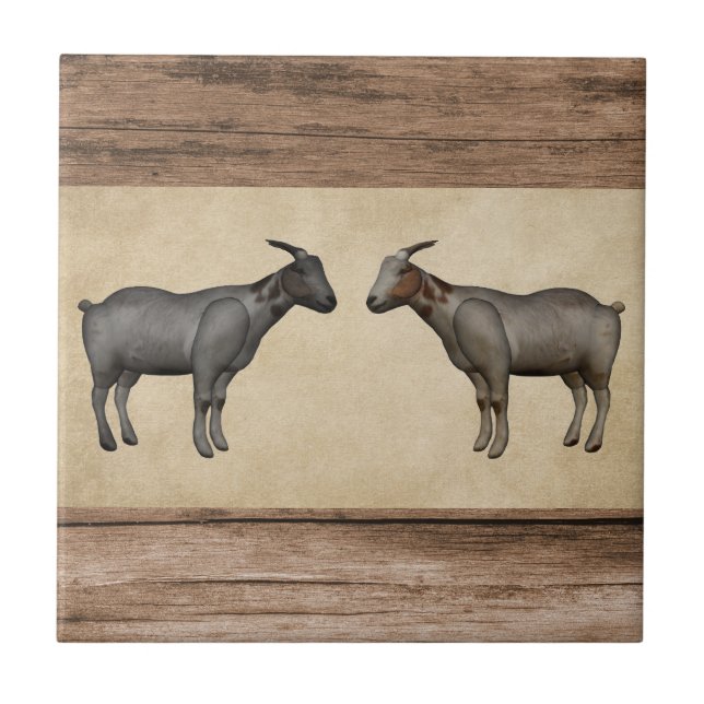 Carreaux de céramique de chèvre rustique et de gra (Devant)