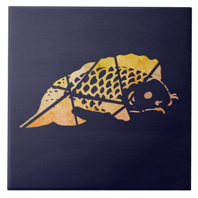Carreaux de céramique de Koi Fish (Devant)