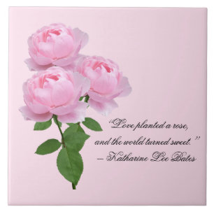 Carreaux de céramique décoratifs Rose Rose avec ci