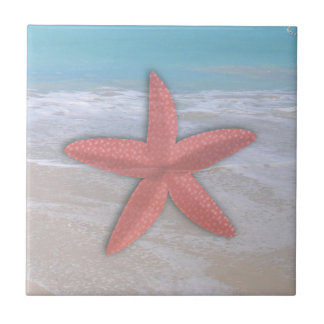 Carreaux de céramique d'étoile de mer sur la plage