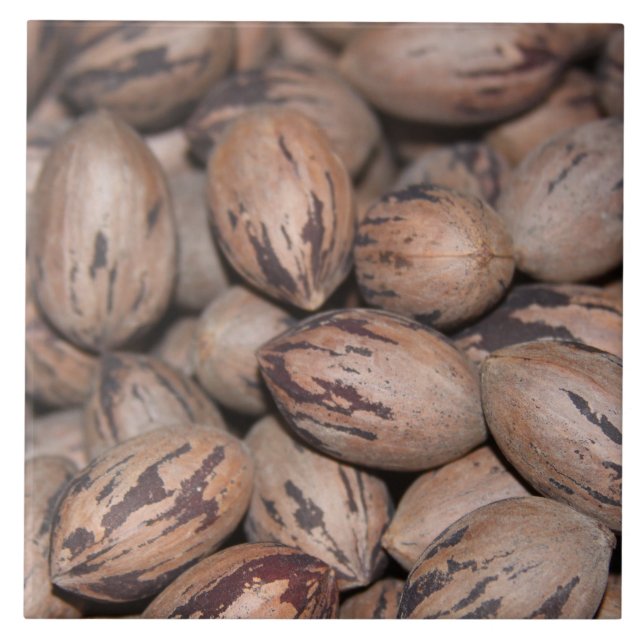 Carreaux de céramique Pecan (Devant)