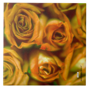 Carreaux de céramique rose