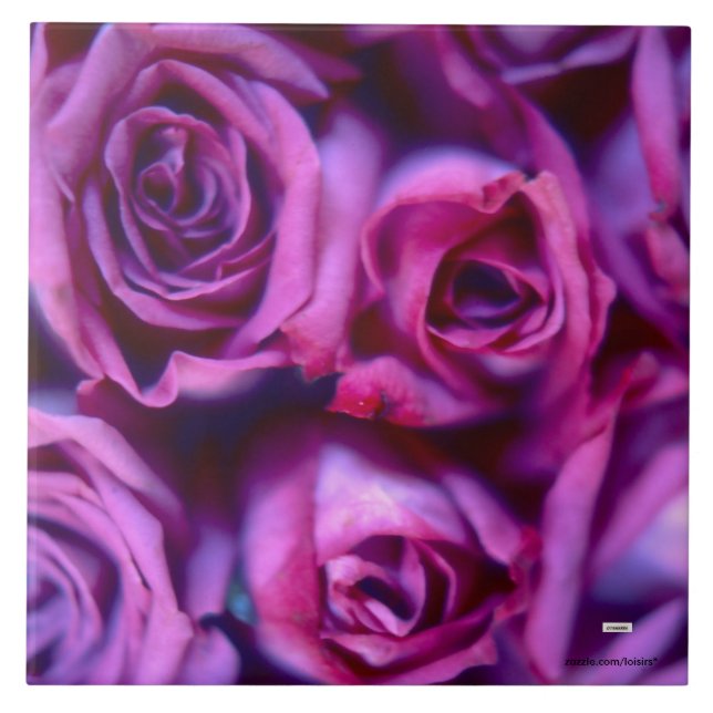 Carreaux de céramique rose (Devant)