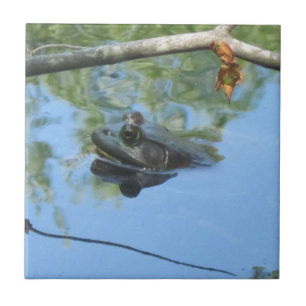 Carreaux de grenouille