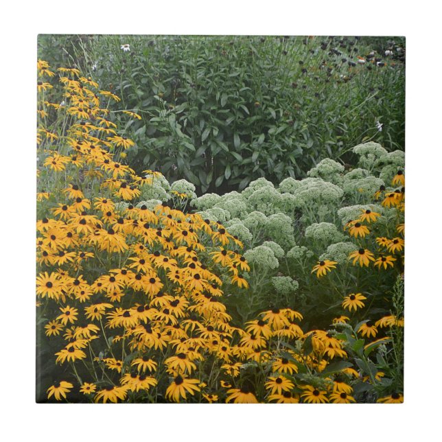 Carreaux de jardin (Devant)