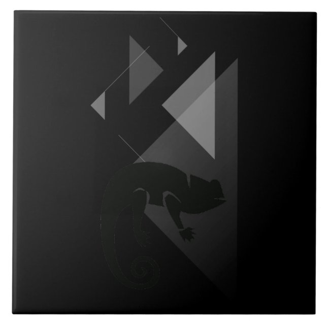 Carreaux en céramique (Devant)